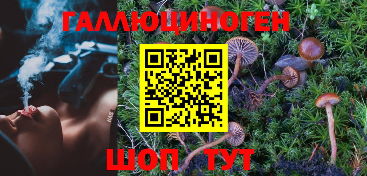 Ростов-на-Дону  Псилоцибиновые грибы MAGIC MUSHROOMS  Вход с VPN 