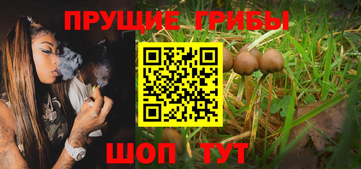Галлюциногенные грибы Psilocybe Ростов-на-Дону